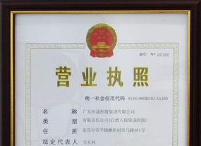 恒晟控股集團營業執照